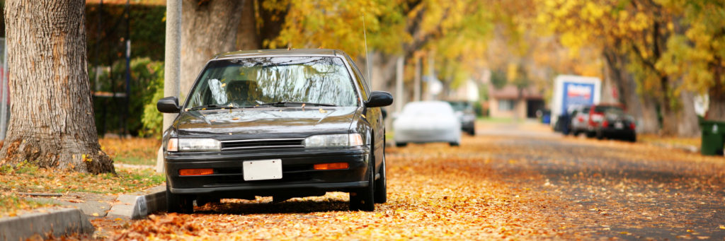 Car on leafy block