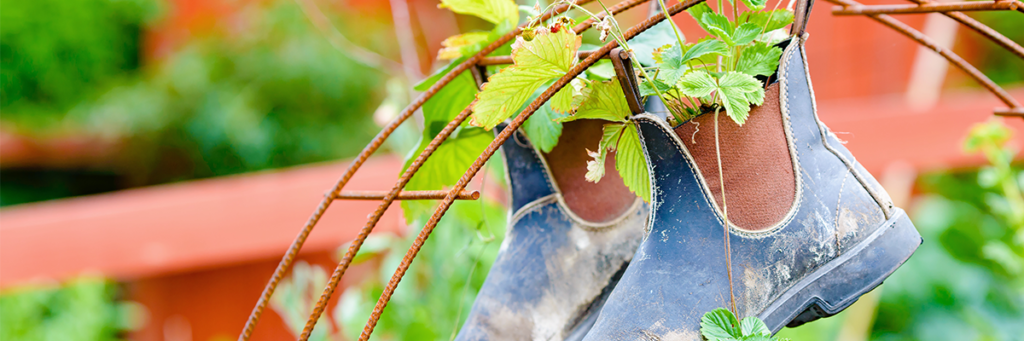 Alternative gardening